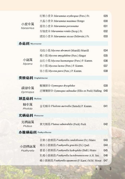 北京松山国家级自然保护区菌类图谱【中国农业出版社官方正版，可开发票，下单时留开票信息和电子邮箱】 商品图3