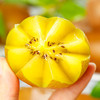 新鲜水果 黄心猕猴桃精品大果3斤装 商品缩略图2