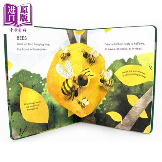 【中商原版】Lets Explore: Animal Home pop-up 立体发现 动物之家 英文原版进口图书 儿童绘本 立体图画书 纸板书 商品图3