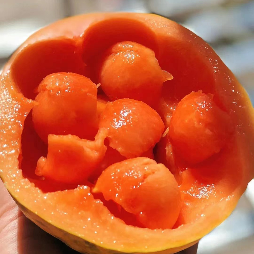 甄源|礼盒|海南红心木瓜4.5-5斤约2-4个树上熟香甜丝滑软糯