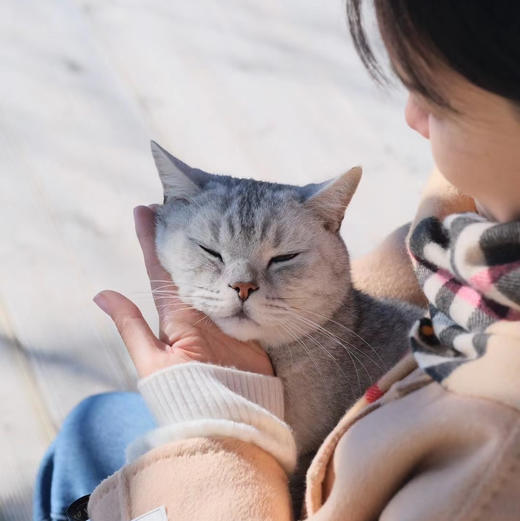 【1OO%二狼山白羊绒】B C G家等大牌代工厂羊绒围巾多个款式可选 商品图3