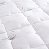 紫韵 秋冬梦之语赛鹅绒被 200*230 重量：2700g  羽丝纤维/鹅绒纤维 ZY-BY1612 商品缩略图3