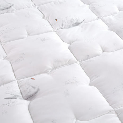 紫韵 秋冬梦之语赛鹅绒被 200*230 重量：2700g  羽丝纤维/鹅绒纤维 ZY-BY1612 商品图3