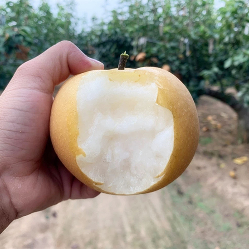 a62a9843e8f66c9c35dbdae0a3a8f6