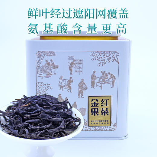 金果红茶（抹红）罐装DY100g 商品图5