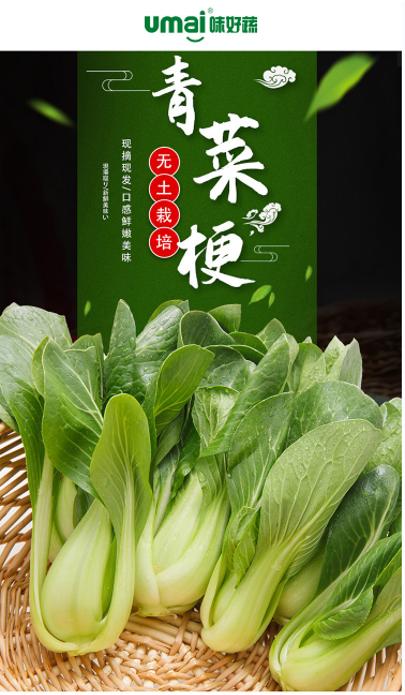 味好蔬水培小青菜 /青梗菜（上海青）250g/袋 各单品合计100元包邮 商品图7