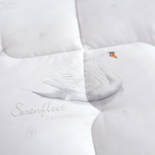 紫韵 秋冬梦之语赛鹅绒被 200*230 重量：2700g  羽丝纤维/鹅绒纤维 ZY-BY1612 商品图2