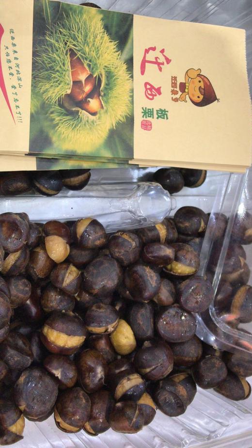 迁栖板栗 商品图0