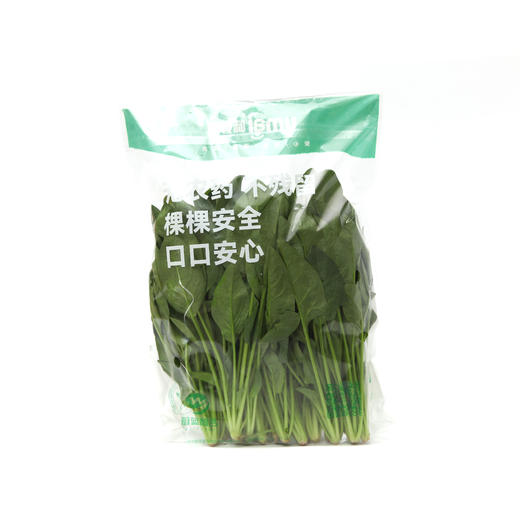 味好蔬水培菠菜250g/袋  各单品合计88元起发货 商品图3