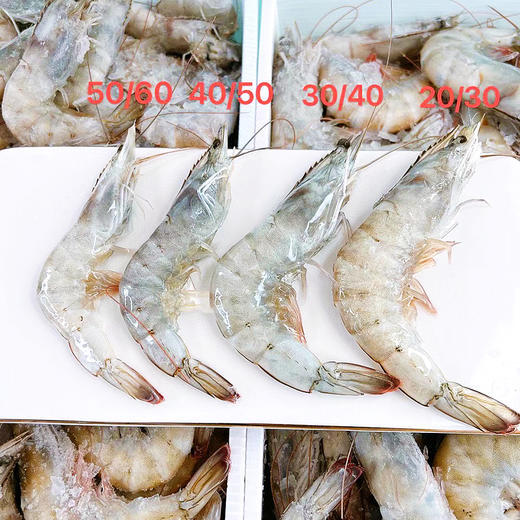 『海捕大虾』盐冻锁鲜，饱满弹嫩，鲜甜美味 商品图4