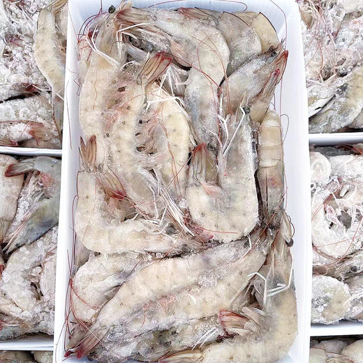 『海捕大虾』盐冻锁鲜，饱满弹嫩，鲜甜美味 商品图7