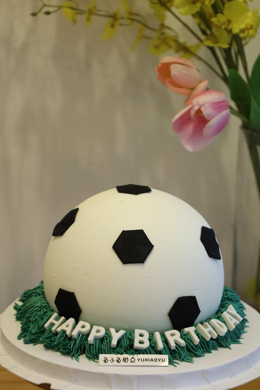 绿茵圆足球 商品图0