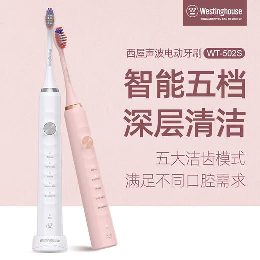 西屋（Westinghouse）声波电动牙刷家用充电式软毛牙刷送男生女生礼物 WT-502S 商品图0
