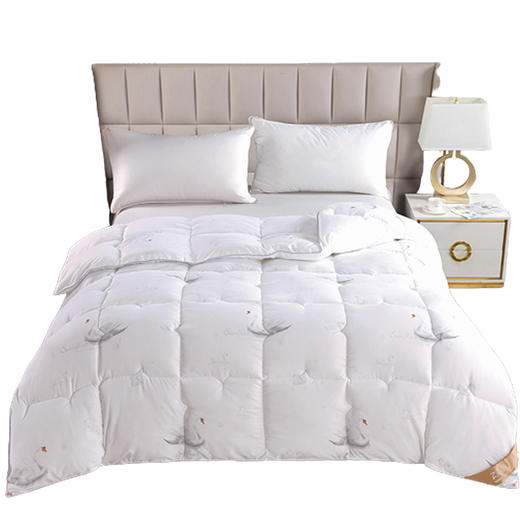 紫韵 秋冬梦之语赛鹅绒被 200*230 重量：2700g  羽丝纤维/鹅绒纤维 ZY-BY1612 商品图1