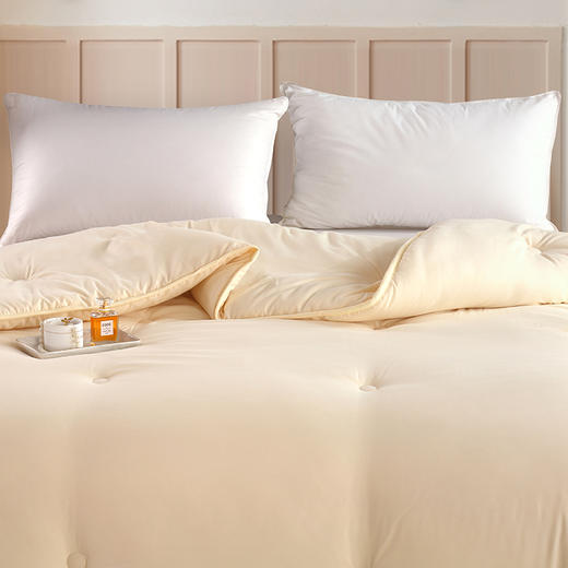 紫韵 秋冬糯糯棉玉米被 200*230 2400g 羽丝纤维/玉米纤维 ZY-BY1601 商品图2