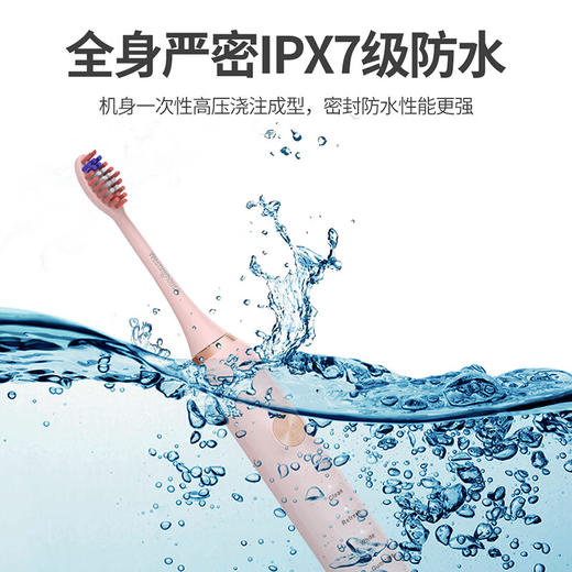 西屋（Westinghouse）声波电动牙刷家用充电式软毛牙刷送男生女生礼物 WT-502S 商品图2