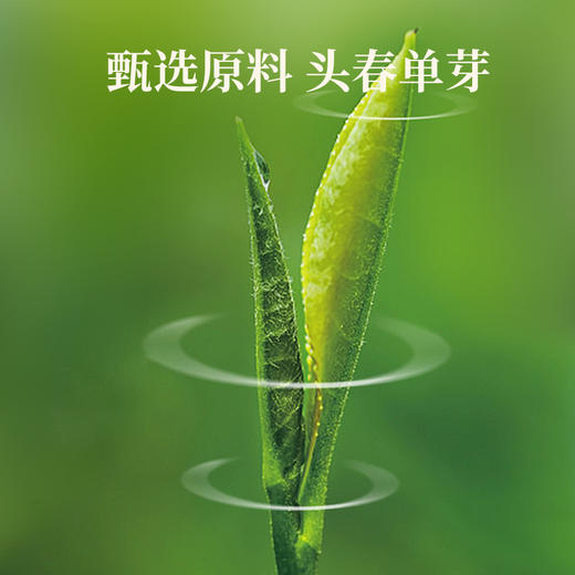 华祥苑金骏眉 印象金骏眉 红茶特级茶叶礼盒240g 商品图4