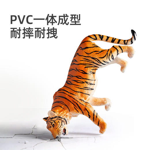 mideer弥鹿 动物大套装-15pcs 商品图2