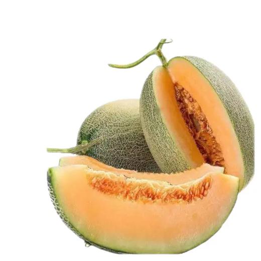 都知果哈密瓜 商品图1