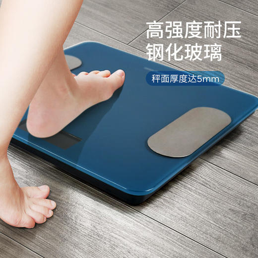西屋（Westinghouse）健康电子秤体重秤体脂秤T201 绅士蓝 商品图0