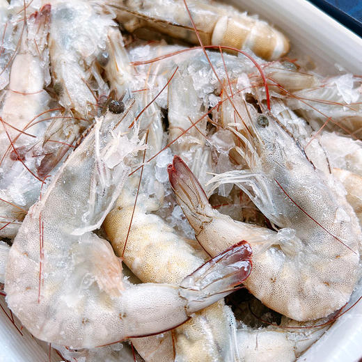 『海捕大虾』盐冻锁鲜，饱满弹嫩，鲜甜美味 商品图2