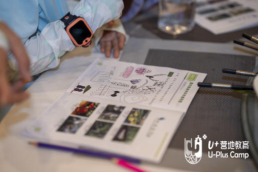 U+西双版纳 | SDGs 雨林恢复科考营 商品图3