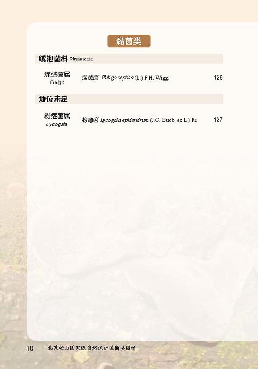 北京松山国家级自然保护区菌类图谱【中国农业出版社官方正版，可开发票，下单时留开票信息和电子邮箱】 商品图10