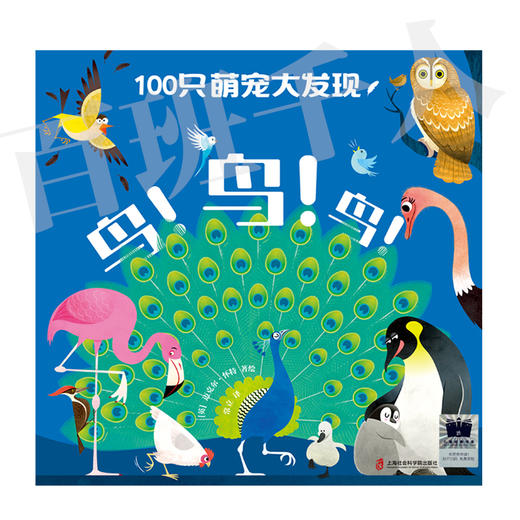 100只萌宠大发现：鸟！鸟！鸟！   一年级共读书正版现货速发|名师推荐|小学生课外阅读1年级课外读物 商品图4