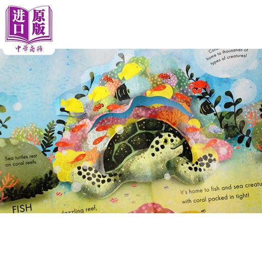【中商原版】Lets Explore: Animal Home pop-up 立体发现 动物之家 英文原版进口图书 儿童绘本 立体图画书 纸板书 商品图2