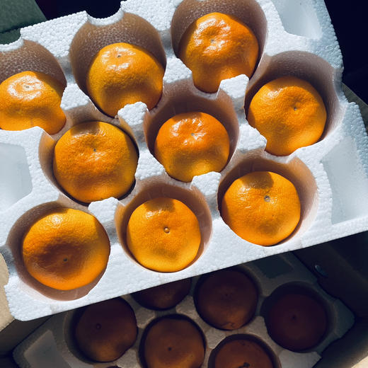 【下架倒计时一周】产地直邮-涌泉高山蜜桔 果肉细嫩化渣 鲜甜多汁 家庭装/贡品装 5斤/10斤 下单72小时发货～接近收官订单较多，大家可提前购买，排单发货～ 商品图3