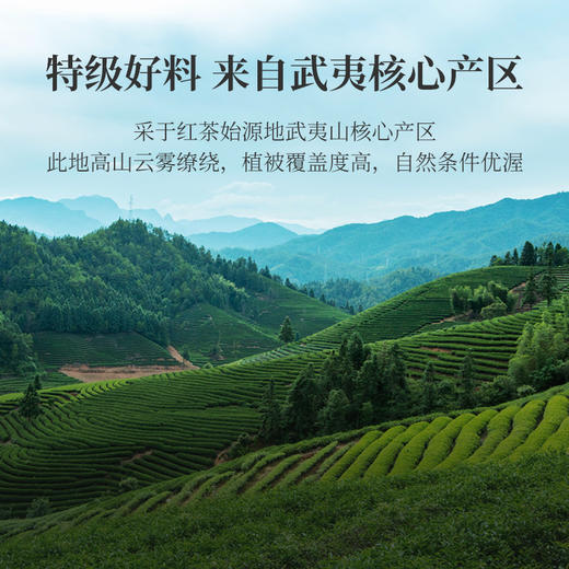 华祥苑正山小种 武夷印象正山小种礼盒装武夷山新茶花香小种240g 商品图3