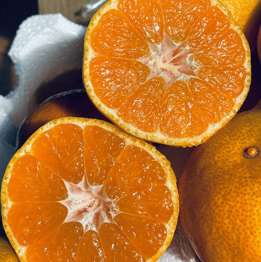 【下架倒计时一周】产地直邮-涌泉高山蜜桔 果肉细嫩化渣 鲜甜多汁 家庭装/贡品装 5斤/10斤 下单72小时发货～接近收官订单较多，大家可提前购买，排单发货～ 商品图1