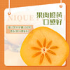 新鲜小脆柿4斤 商品缩略图1