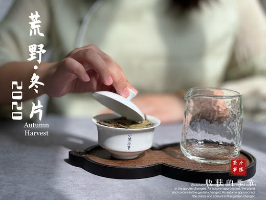 【稀缺好茶】荒野茶的独一无二，2020荒野冬片《金砖》问世 商品图11