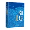 潮起 中国创新型企业的诞生 封凯栋 著 经济 商品缩略图0