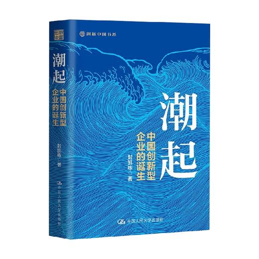 潮起 中国创新型企业的诞生 封凯栋 著 经济 商品图0