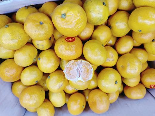 红土爆桔4斤 商品图1