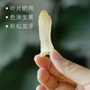 有客瑶来龙牙百合干 260g/罐 商品缩略图1