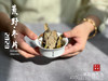 【稀缺好茶】荒野茶的独一无二，2020荒野冬片《金砖》问世 商品缩略图9