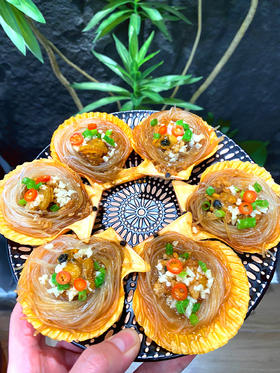 活开黄金扇贝 肉鲜肥美 清蒸烧烤，口感一流【新鲜活冻】