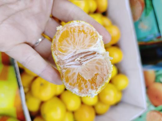 红土爆桔4斤 商品图2