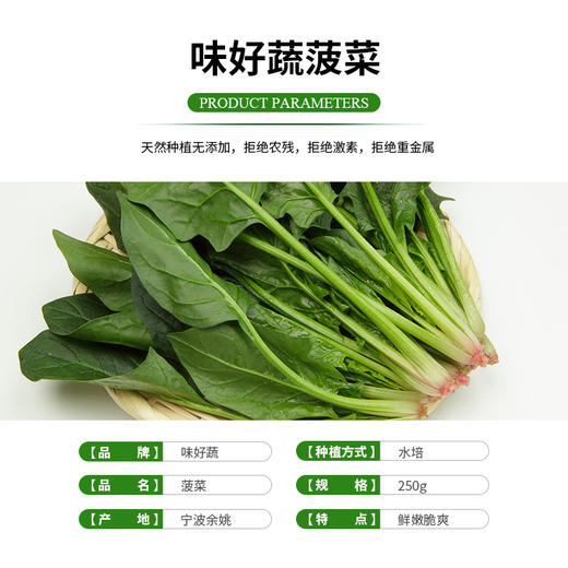 味好蔬水培菠菜250g/袋  各单品合计88元起发货 商品图6