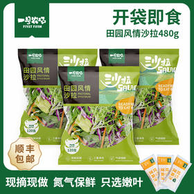 一号农场开袋即食田园风情蔬菜沙拉120g*3送芝麻酱包邮