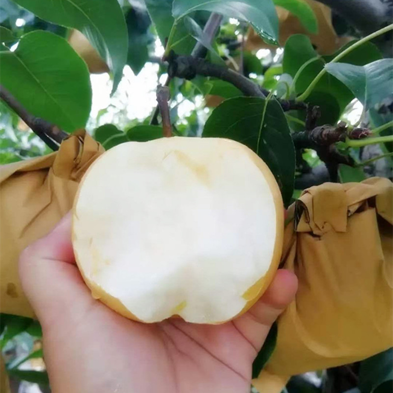 6f73dc212e72a1480dfa623efa1be0