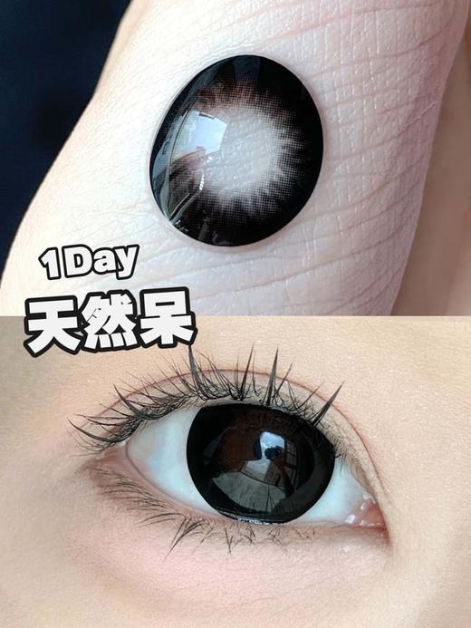 toffee 日抛 天然呆 直径14.5mm着色14.0mm 商品图7