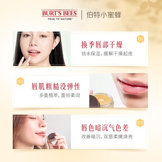 KJ 伯特小蜜蜂晚安润护唇霜 7.08g 清凉舒缓 商品图2