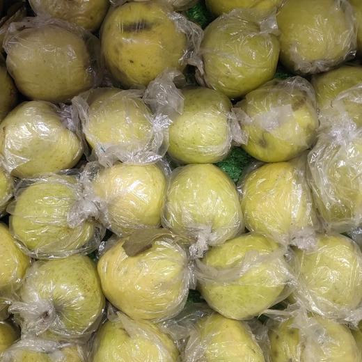 王林青苹果 商品图0