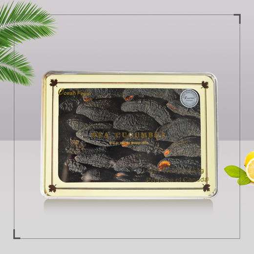 ocean feast 海参亚克力小礼盒（一磅）【单拍礼盒不发货】 商品图0