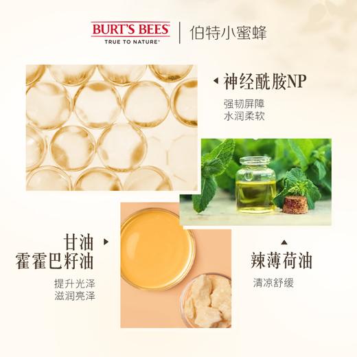 KJ 伯特小蜜蜂晚安润护唇霜 7.08g 清凉舒缓 商品图1