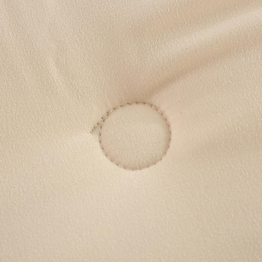 紫韵 秋冬糯糯棉玉米被 200*230 2400g 羽丝纤维/玉米纤维 ZY-BY1601 商品图3